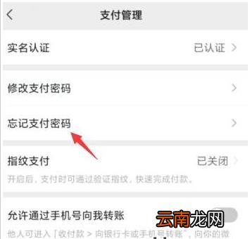 支付密码忘记了怎么改新密码 微信怎么改支付密码