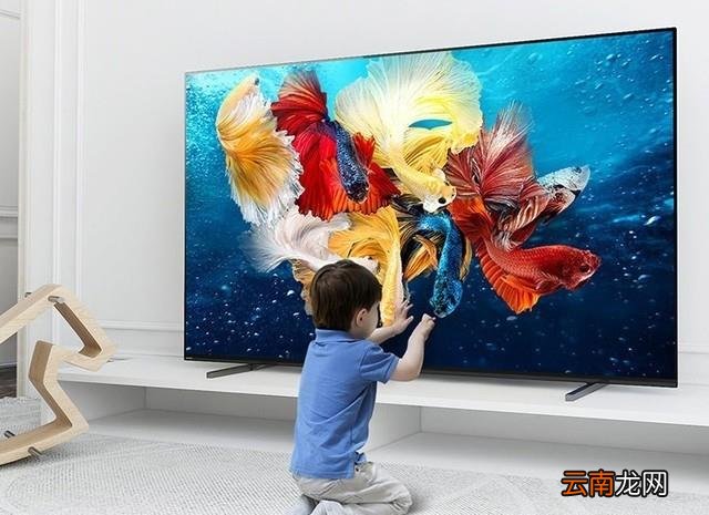 OLED电视销量排行Top5 oled电视机哪个牌子好优缺点