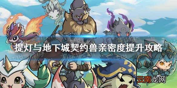 提灯与地下城契约兽亲密度怎么提升 提灯与地下城宠物亲密度提升攻略