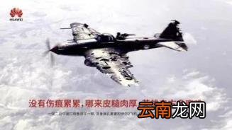 一棵白菜 人民日报 白菜 新闻