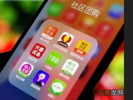 一棵白菜 人民日报 白菜 新闻