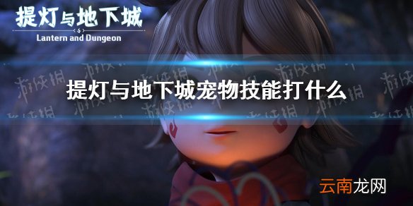 提灯与地下城宠物技能打什么 提灯与地下城宠物技能搭配推荐