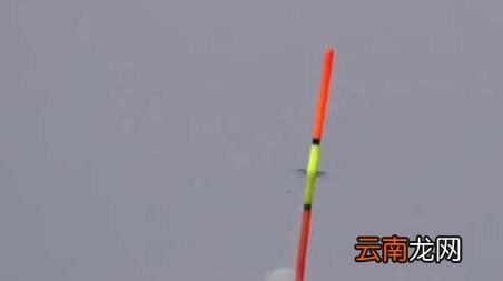 冬天钓鱼口诀大全春夏秋冬 冬季钓鱼口诀大全