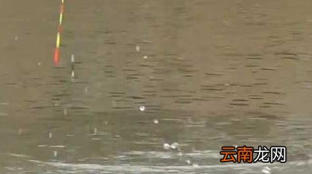 冬天钓鱼口诀大全春夏秋冬 冬季钓鱼口诀大全