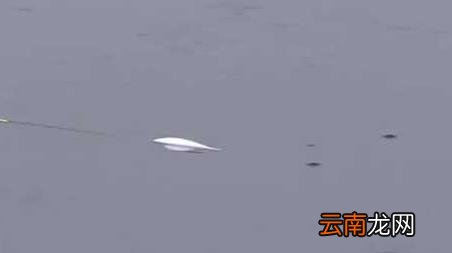 冬天钓鱼口诀大全春夏秋冬 冬季钓鱼口诀大全