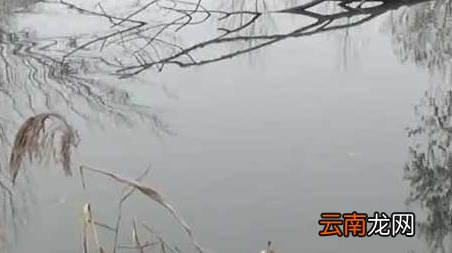 冬季钓鱼最佳时间是什么时候 冬天钓鱼的最佳时间