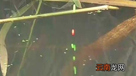 冬季钓鱼钓底还是钓离底,秋季钓鱼钓底还是钓离底