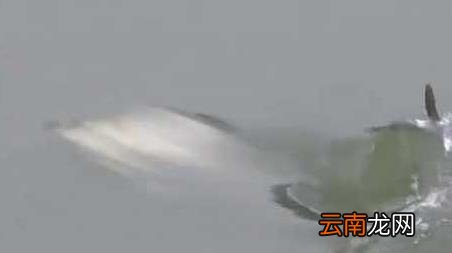 冬季钓鱼钓底还是钓离底,秋季钓鱼钓底还是钓离底