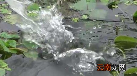 十月钓鱼钓多深合适 十月份钓鱼钓多深好