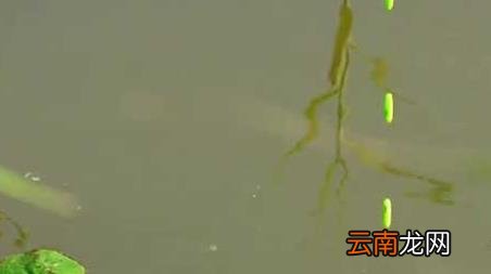 十月钓鱼钓多深合适 十月份钓鱼钓多深好