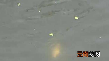 十月钓鱼钓多深合适 十月份钓鱼钓多深好