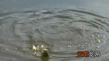 十月钓鱼最佳时间是什么时候 10月钓鱼时间