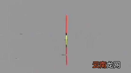 十月钓鱼最佳时间是什么时候 10月钓鱼时间