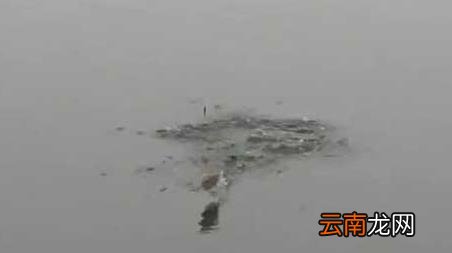 十月钓鱼最佳时间是什么时候 10月钓鱼时间