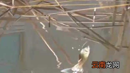 十月钓鱼钓深水还是浅水 十月份钓鱼深水还是浅水