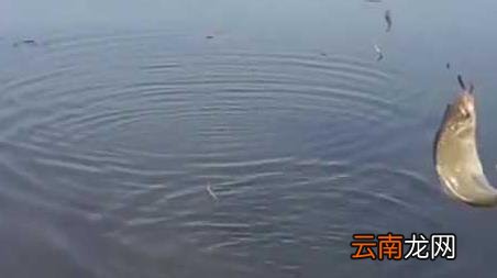 十月钓鱼钓深水还是浅水 十月份钓鱼深水还是浅水