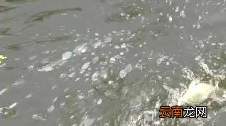 11月钓鱼怎么选钓位 十月钓鱼钓位怎么选择才好