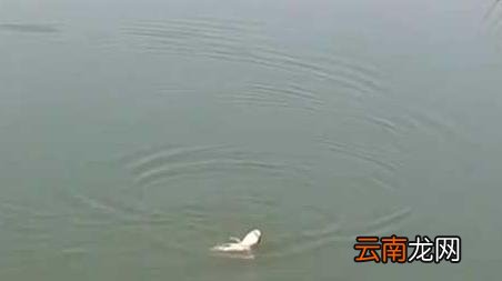 十月钓鱼什么天气最好 十月份什么天气适合钓鱼
