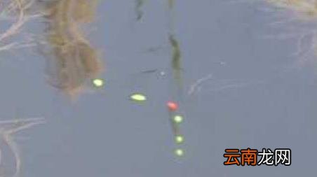 七星漂钓鱼需要调漂吗 七星漂调几钓几最灵