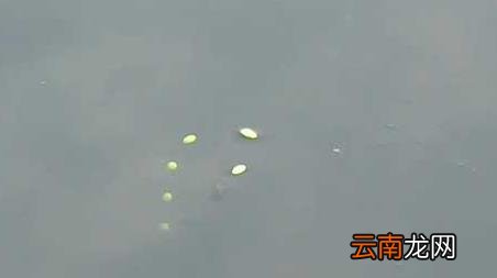 十月份的鱼怎么钓 十月钓鱼怎么钓上鱼快