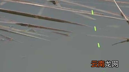 十月份的鱼怎么钓 十月钓鱼怎么钓上鱼快