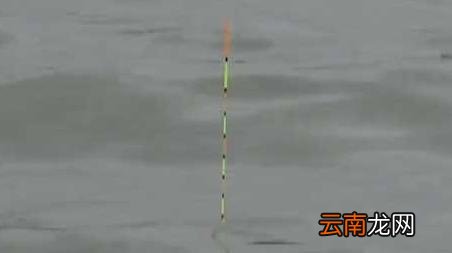 初冬一天当中什么时间钓鱼最好 初冬钓鱼最佳时间是什么时候