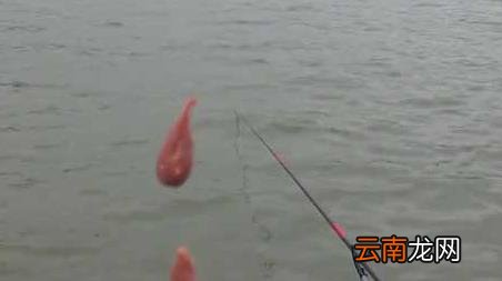 初冬一天当中什么时间钓鱼最好 初冬钓鱼最佳时间是什么时候