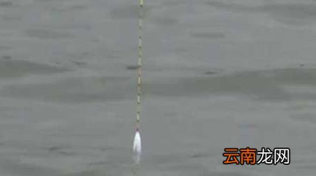初冬一天当中什么时间钓鱼最好 初冬钓鱼最佳时间是什么时候