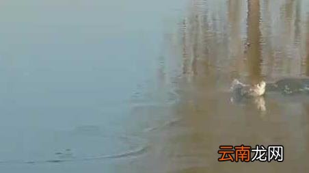 初冬钓鱼技巧和方法 初冬垂钓技巧