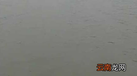 冬季钓鱼选什么天气 初冬钓鱼天气怎么选择