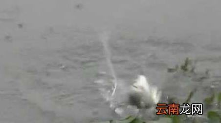 冬季钓鱼选什么天气 初冬钓鱼天气怎么选择