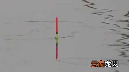 初秋钓鱼不开口 初冬钓鱼不开口怎么办