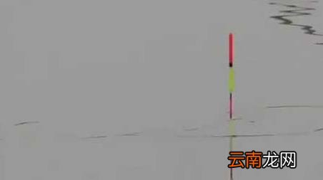 初秋钓鱼不开口 初冬钓鱼不开口怎么办