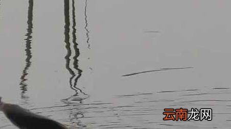 初冬钓鱼什么风向好钓，入冬前什么风向好钓鱼