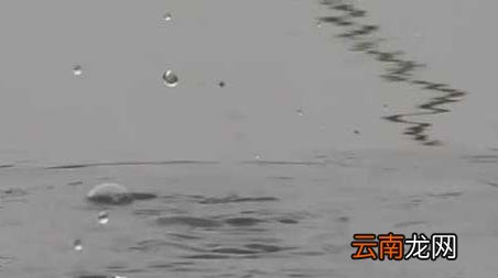 初冬钓鱼什么风向好钓，入冬前什么风向好钓鱼