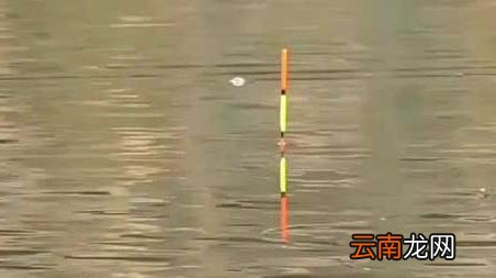 初冬水库钓鱼钓位怎么选择 冬季水库钓鱼怎么选钓位