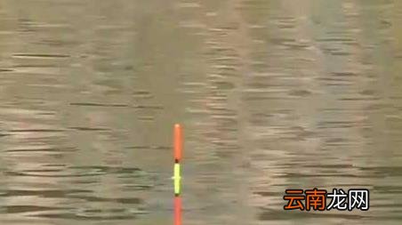 初冬水库钓鱼钓位怎么选择 冬季水库钓鱼怎么选钓位