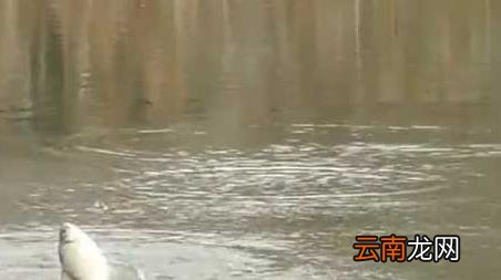 初冬水库钓鱼钓位怎么选择 冬季水库钓鱼怎么选钓位