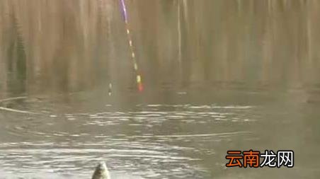 初冬水库钓鱼钓位怎么选择 冬季水库钓鱼怎么选钓位