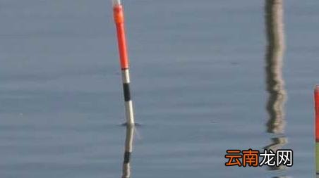 黑拉漂是什么意思 黑漂是什么意思