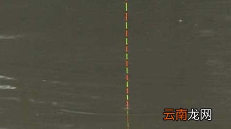黑拉漂是什么意思 黑漂是什么意思