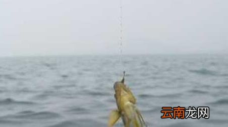 海钓实用技巧大全，海竿钓鱼技巧大全