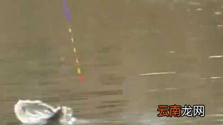 秋冬季钓鱼技巧全知识 冬季钓鱼技巧及方法