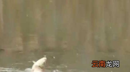 秋冬季钓鱼技巧全知识 冬季钓鱼技巧及方法