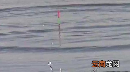 冬季钓鱼打窝打多少合适，冬天传统钓打窝打多少