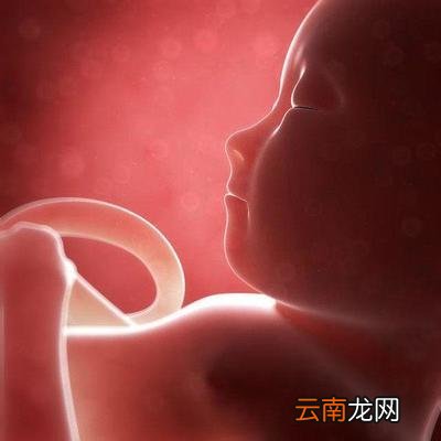 伤害最小的流产方式