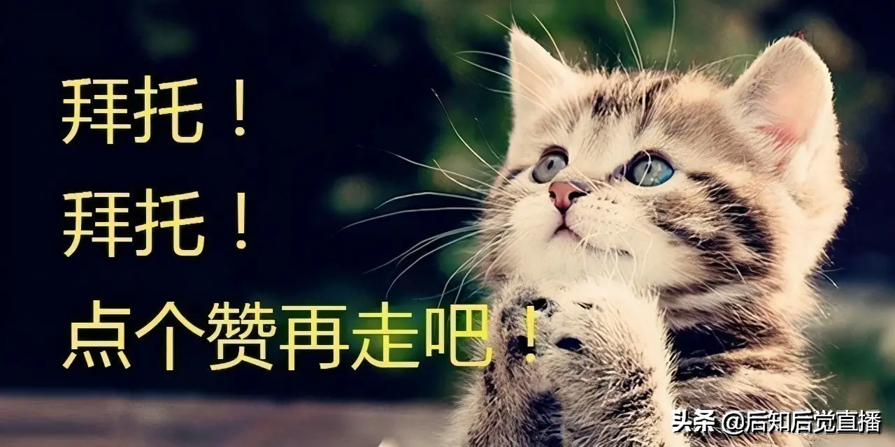 封闭式基金的概念 什么是封闭基金