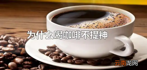 为什么有些人喝咖啡越喝越困