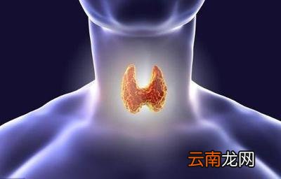 甲状腺结节怎么调理消除