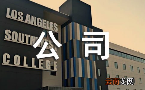 公司年度工作计划汇编7篇